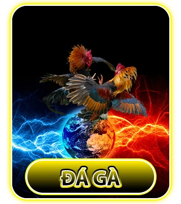 1da-ga-84win